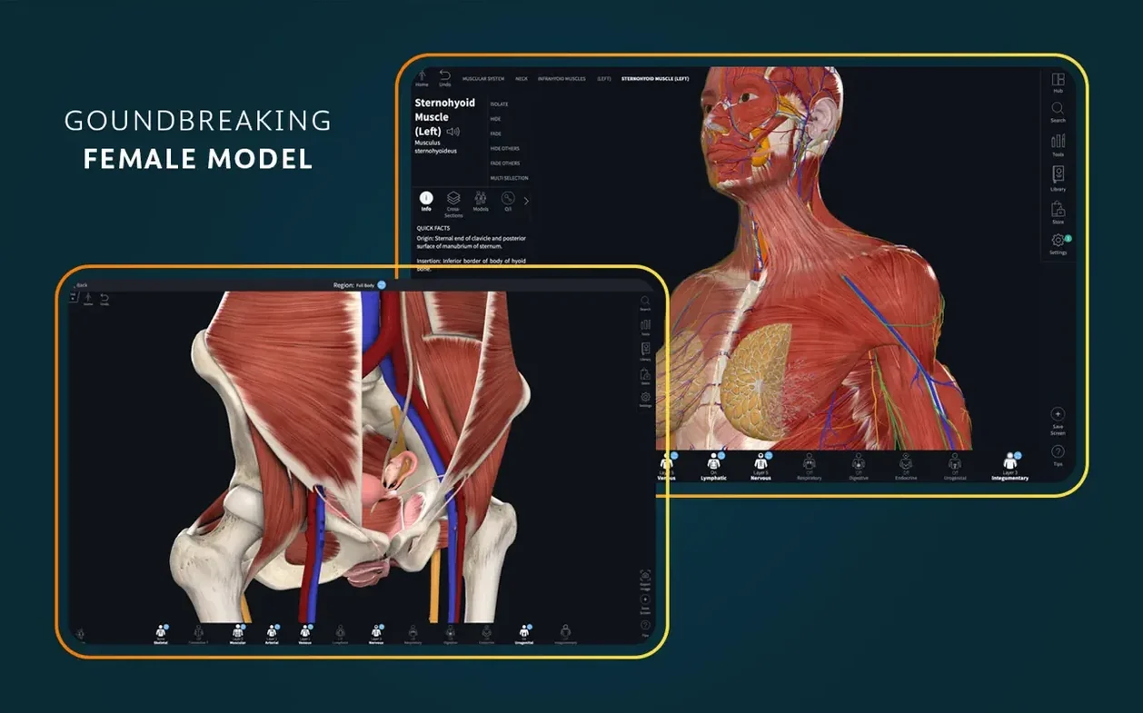 Complete Anatomy display 1 complete anatomy mac download — layout