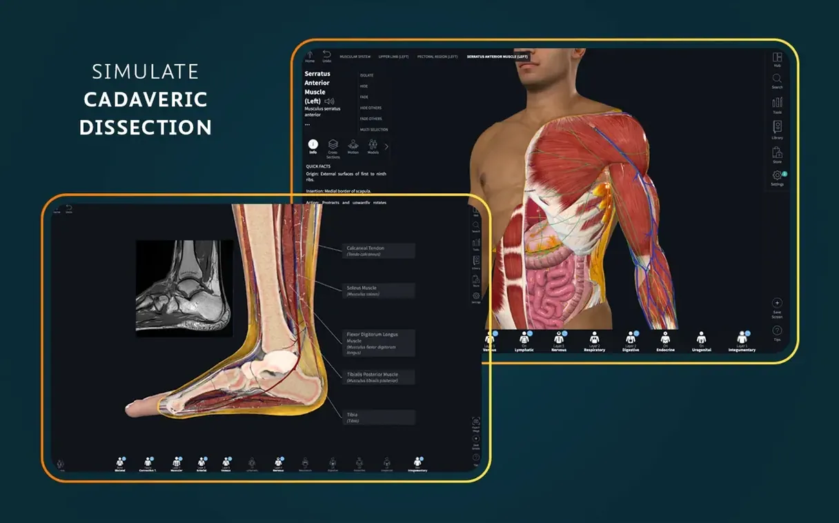 Complete Anatomy display 2 Complete Anatomy screen #2