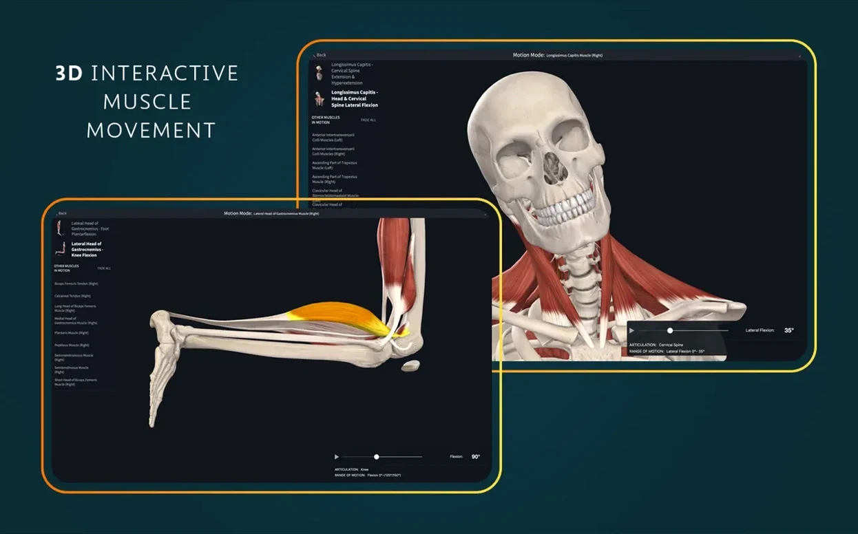 Complete Anatomy display 3 Complete Anatomy screen #3