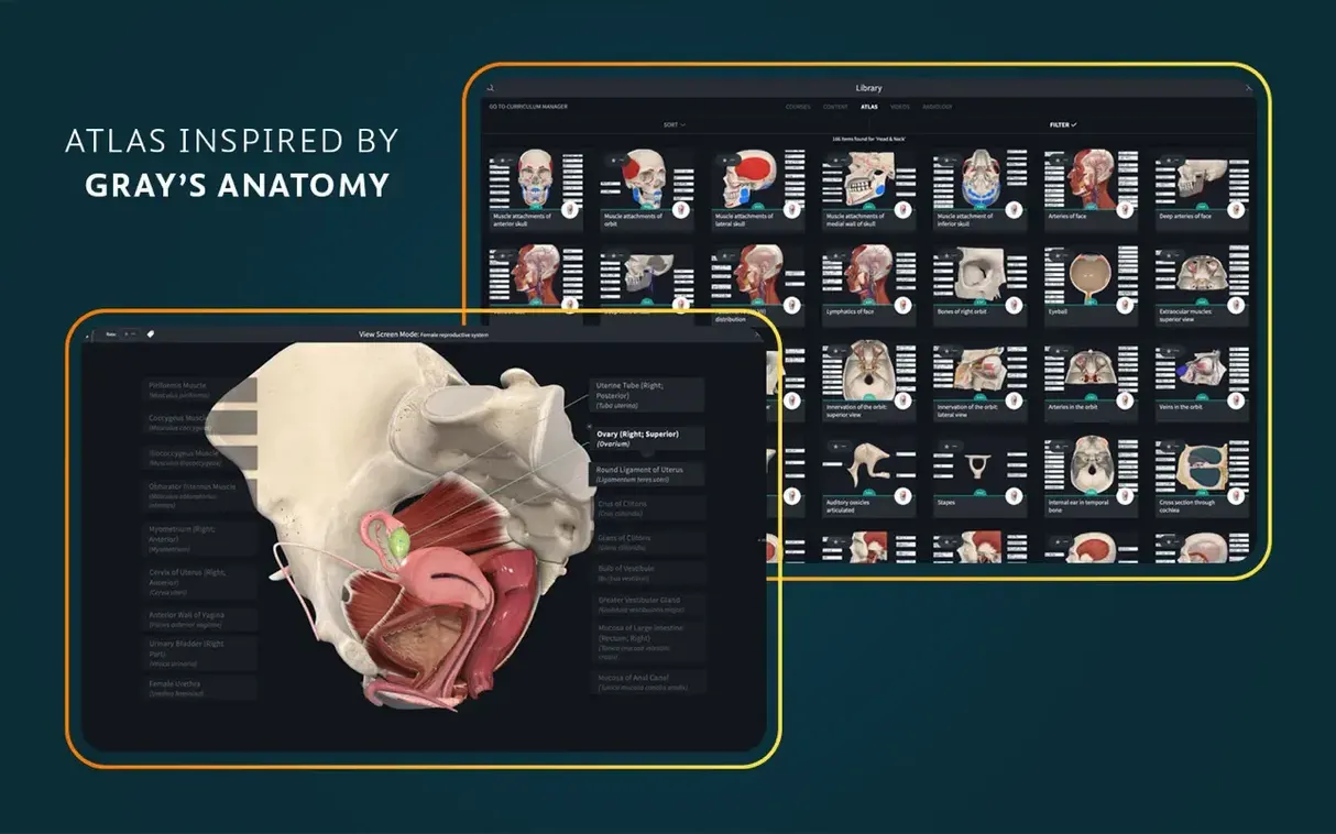 Screen 5 from Complete Anatomy Complete Anatomy window 5