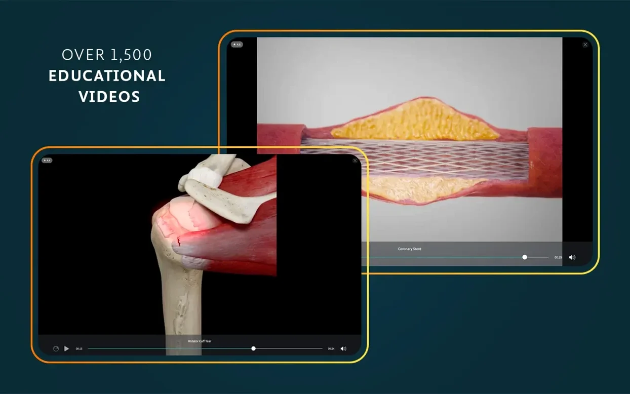 Screen 8 from Complete Anatomy Complete Anatomy window 8