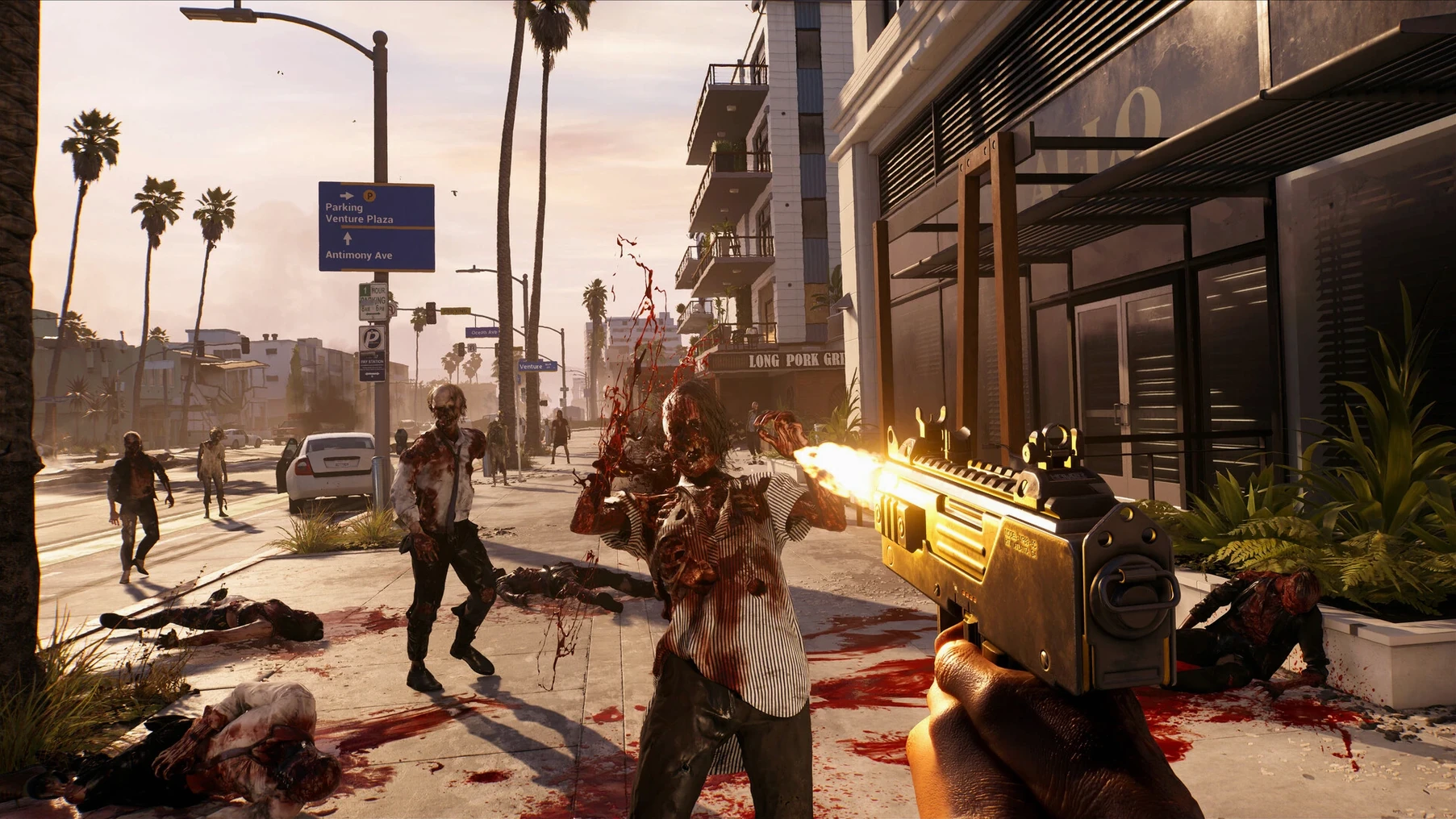 Screen 6 from Dead Island Dead Island window 6