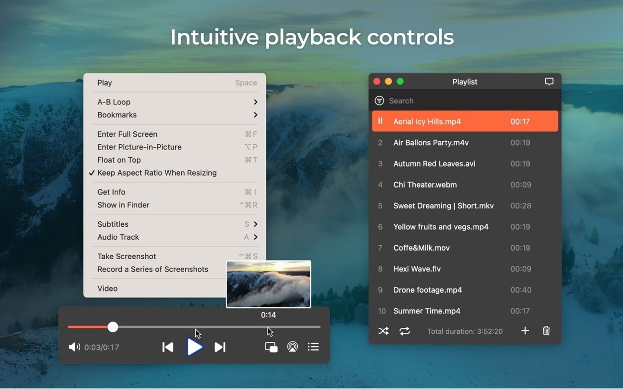 Screen 2 from Elmedia Player Pro Elmedia Player Pro window 2