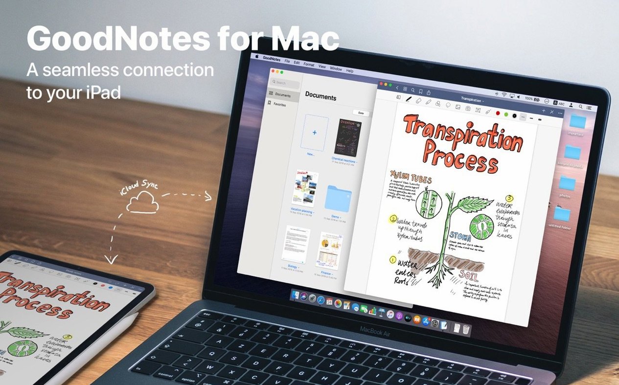 GoodNotes display 1 goodnotes dmg — layout