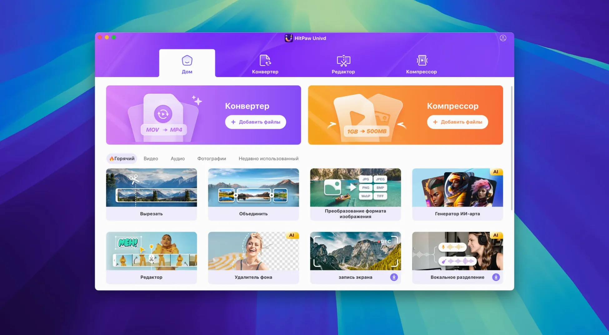HitPaw Univd display 1 hitpaw torrent — layout