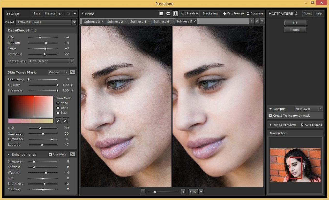Imagenomic Portraiture display 1 portraiture mac torrent — layout