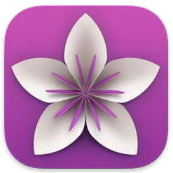 Vellum logo