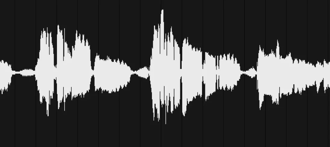 VocalNet logo